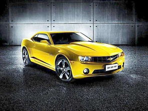 科迈罗大黄蜂(科迈罗大黄蜂二手)