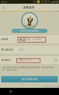 车辆违章查询在哪里查(车辆违章查询方式)