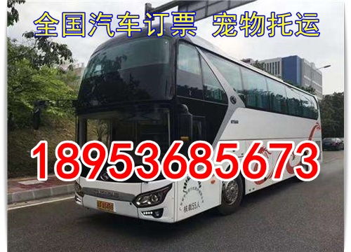 汽车时刻表查询(济南到东营汽车时刻表查询)