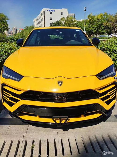 大牛兰博基尼(大牛兰博基尼suv多少钱)