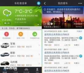 交通违章查询在线查询(交通违章查询在线查询电话)