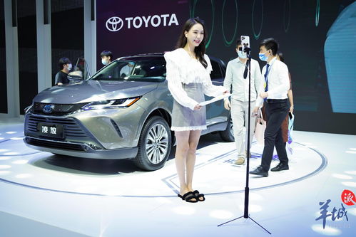 哪个网站看车比较详细(在哪个网看车比较好)