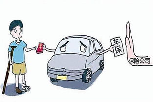 老司机只买三种保险(老司机只买三种保险有反点吗) 老司机只买三种保险(老司机只买三种保险有反点吗)