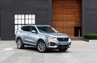 新能源汽车有哪些品牌(中国新能源汽车有哪些品牌)