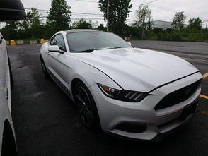 野马汽车价格(野马汽车价格多少钱一辆) 野马汽车价格(野马汽车价格多少钱一辆)