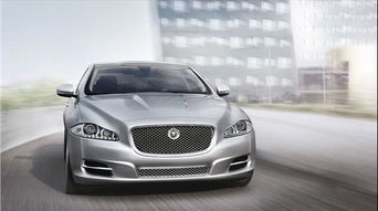 买捷豹后发现养不起(捷豹养得起吗) 买捷豹后发现养不起(捷豹养得起吗)