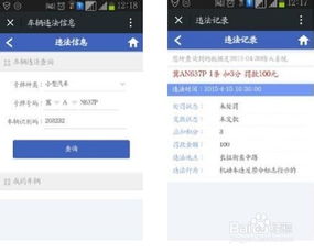 车牌号查询车辆信息查询(车牌号查询车辆信息查询免费)