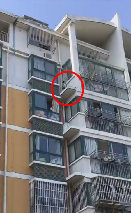 28楼业主破墙开门，搭建通往隔壁楼顶的秘密通道