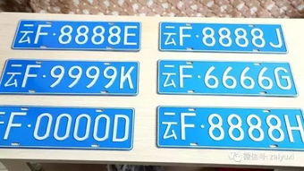 车牌号50选1诀窍(自选车牌号怎么选靓号)