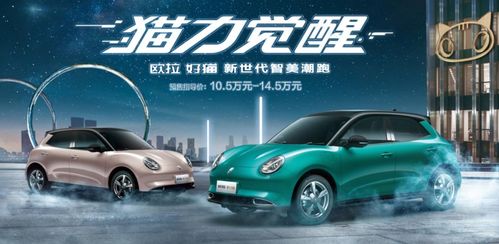 欧拉好猫电动汽车官网4s店(欧拉好猫电动汽车官网4s店桂林电话)