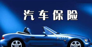 不计免赔险是什么意思(车损不计免赔险是什么意思)