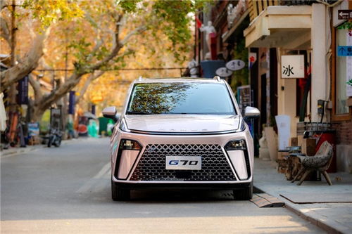 哪款车省油而且性能好适合家用(哪款车省油而且性能好适合家用车)