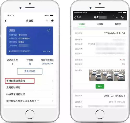 免费查询车辆信息(免费查询车辆信息查车主) 免费查询车辆信息(免费查询车辆信息查车主)