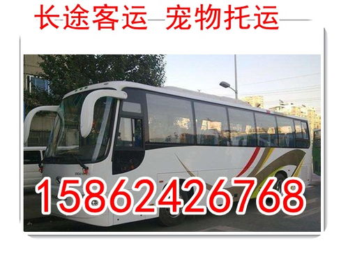 查长途汽车票查询(长途汽车票查询12306)