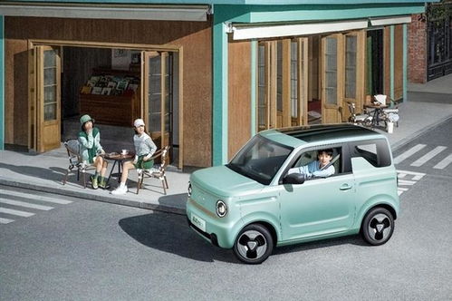 吉利熊猫(吉利熊猫mini电动车) 吉利熊猫(吉利熊猫mini电动车)