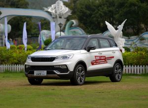 猎豹(猎豹英语)