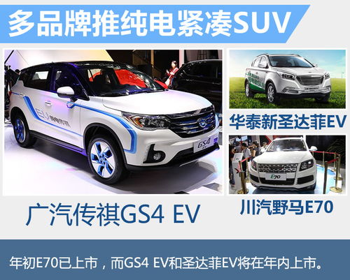 纯电动汽车价格表(广汽传祺新能源纯电动汽车价格表)