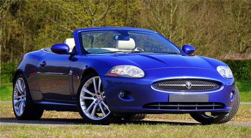 汽车网平台(汽车网平台老是打电话)