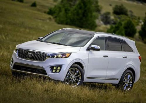 中大型suv排名前十名(中大型suv排名前十名哪款最好) 中大型suv排名前十名(中大型suv排名前十名哪款最好)