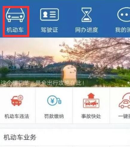 违章查询(违章查询非本人车辆) 违章查询(违章查询非本人车辆)