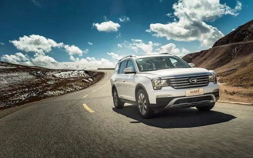 10万左右7座suv哪款好(10万以内的suv七座车哪款好)