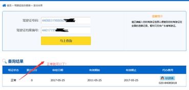 个人交通违章查询(个人交通违章查询在线查询)