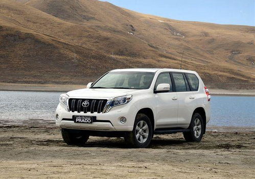 开丰田霸道算有钱人吗(100多万的霸道是哪款)