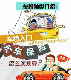 车险包括哪些险种(车险买这四个险就够了)