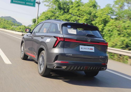 长安cs75plus真实油耗(长安cs75plus真实油耗20)