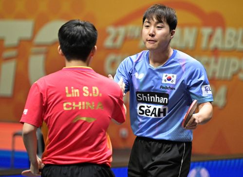 王楚钦与张本智和的争冠之路，一场精彩绝伦的较量