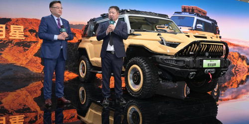 最实用的四驱越野车(最实用的四驱越野车风田汽油机) 最实用的四驱越野车(最实用的四驱越野车风田汽油机)