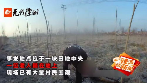 高校旁农田挖出尸体？多方权威回应