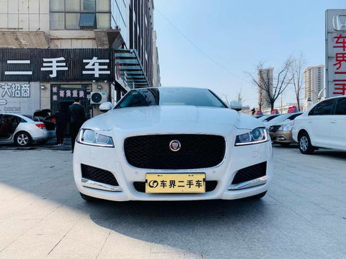 捷豹xfl二手车价格(捷豹xfl二手车价格) 捷豹xfl二手车价格(捷豹xfl二手车价格)