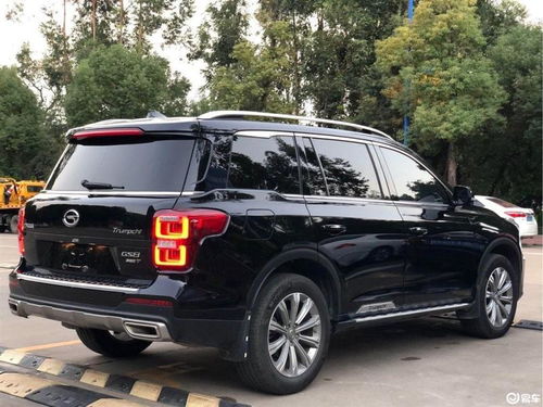 广汽传祺gs8致命缺点(广汽传祺gs8的缺点)