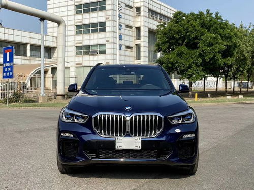 宝马x5官方指导价(宝马x5多少钱2020款试驾视频) 宝马x5官方指导价(宝马x5多少钱2020款试驾视频)