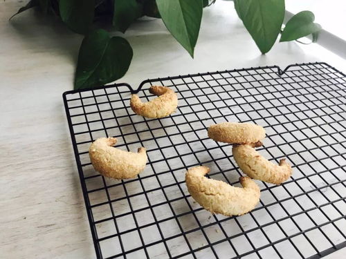 熊猫雪趣，椰蓉面包的诞生