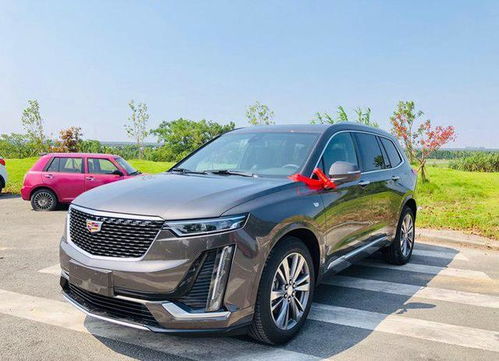 一般什么人买凯迪拉克(一般什么人买凯迪拉克XT6) 一般什么人买凯迪拉克(一般什么人买凯迪拉克XT6)