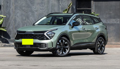 起亚狮铂拓界(起亚狮铂拓界怎么样值得买吗) 起亚狮铂拓界(起亚狮铂拓界怎么样值得买吗)