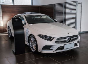 奔驰轿跑cls300(奔驰轿跑cls300图片)