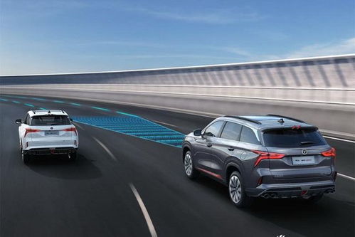 最新汽车网站(最新汽车网站推荐)