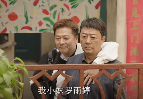 张小斐佟大为新剧一家六口全离婚的深度解读