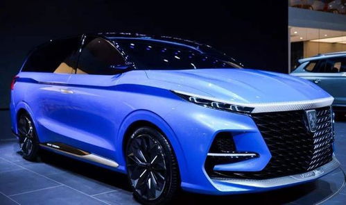 上汽荣威商务车七座报价(上海荣威商务车七座)