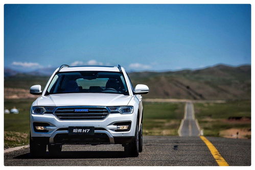 哈弗车型大全及价格表(哈弗车型大全及价格表车头红标)