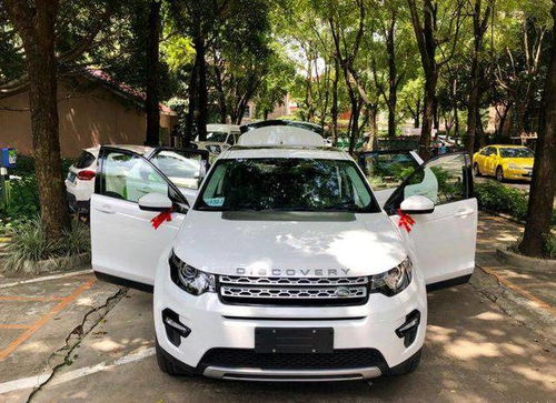 发现神行属于什么档次(发现神行属于什么级别的车)