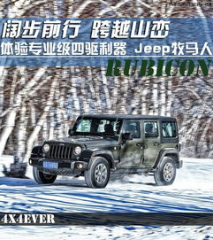 吉普车10万左右图片(吉普车价格10万)