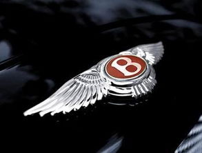 像宾利带翅膀标志的车(像宾利带翅膀标志的车是什么车) 像宾利带翅膀标志的车(像宾利带翅膀标志的车是什么车)