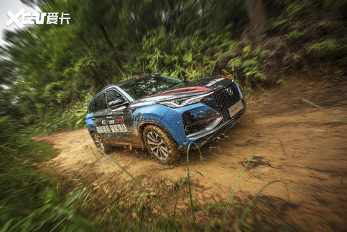 买cs75的十大忠告(买cs75plus的十大忠告) 买cs75的十大忠告(买cs75plus的十大忠告)