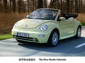 小糯米甲壳虫敞篷车(小糯米甲壳虫敞篷车什么时候上市)