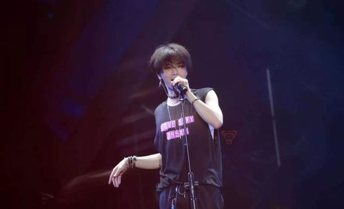 华晨宇遗失价值31万耳钉终寻回，音乐巨星的珍贵经历