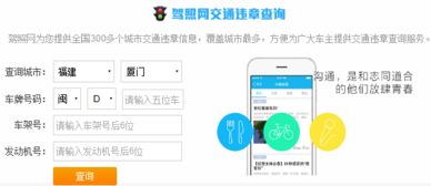 手机怎么查询车辆违章(手机如何查询车辆违章信息)